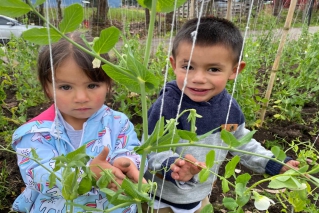 Huerta agrícola convoca a niños, niñas y padres al cuidado del medio ambiente y al consumo de alimentos orgánicos