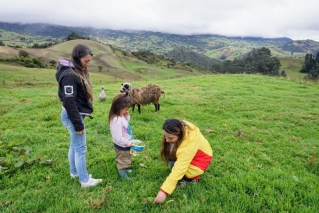 Día del Campesino: reconocimiento a la labor y los saberes del campo