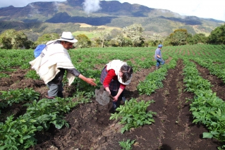 Integración Social hace un homenaje a los campesinos de Bogotá