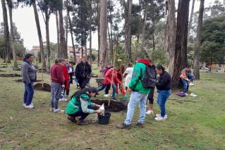 Sectores sociales LGBTI lideraron jornada de reforestación, promoviendo responsabilidad ambiental en Bogotá