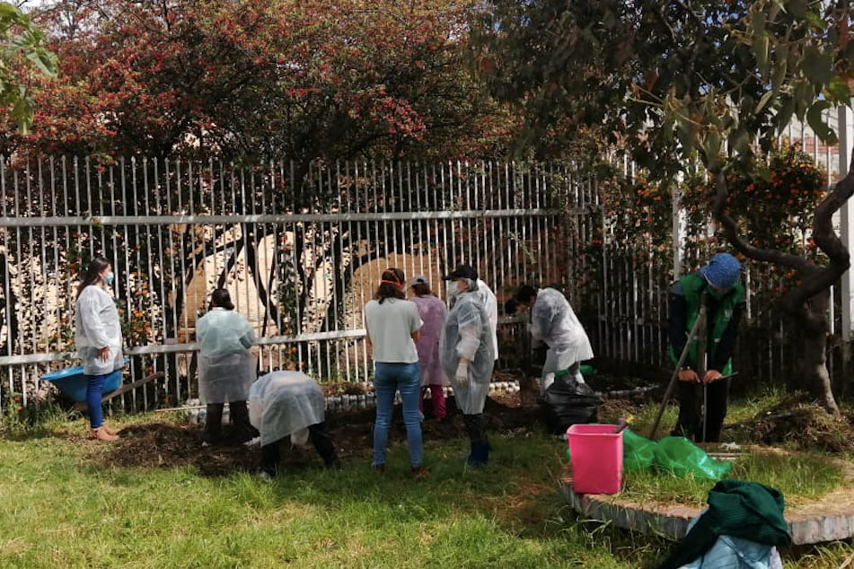 foto de agricultura de niños y niñas 1