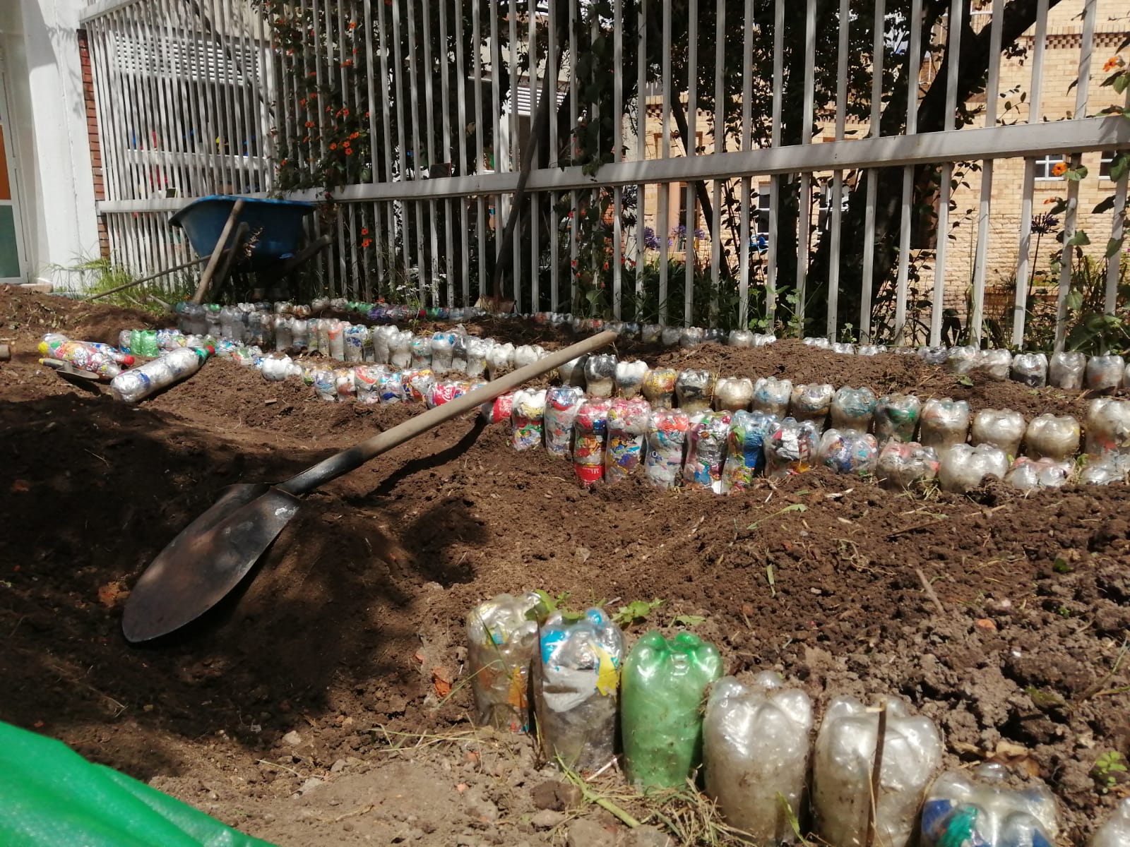 foto de agricultura de niños y niñas 2
