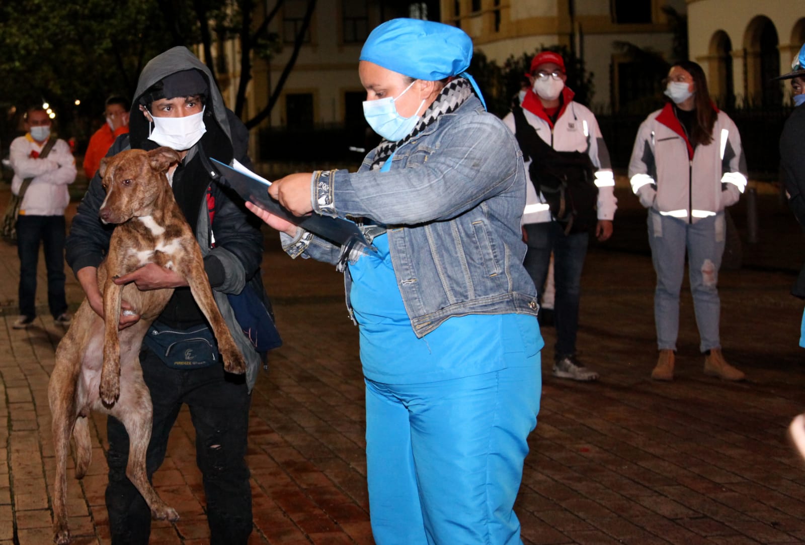 350.000 raciones de comida 4