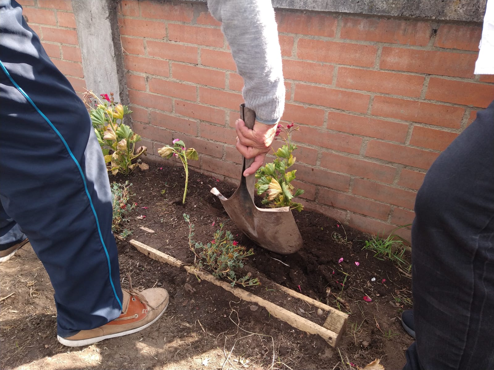 foto de huerta 2