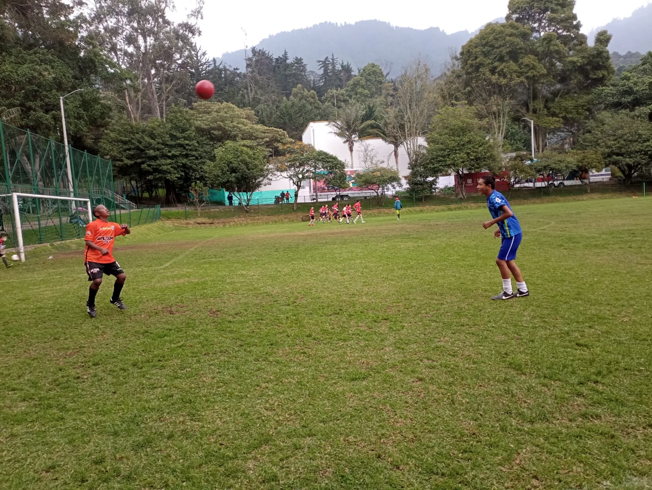 Jugadas y goles