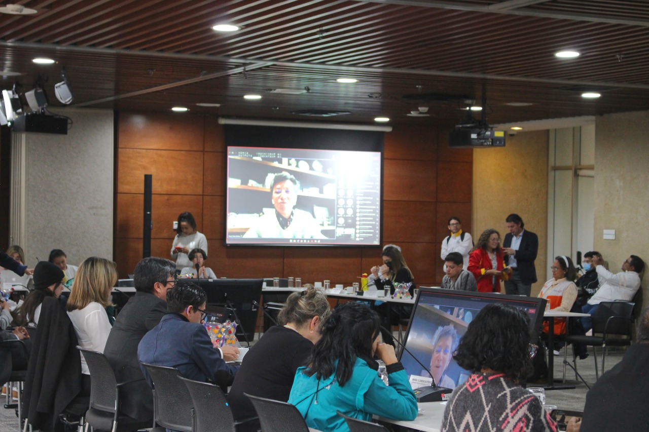 cuarta sesión del Consejo Consultivo