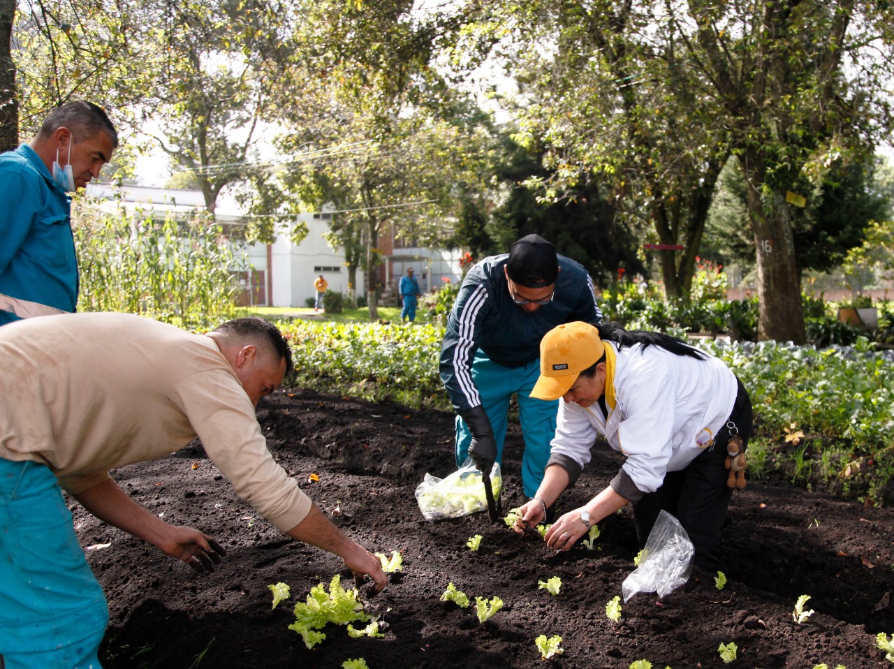 foto de personas sembrando en huerta