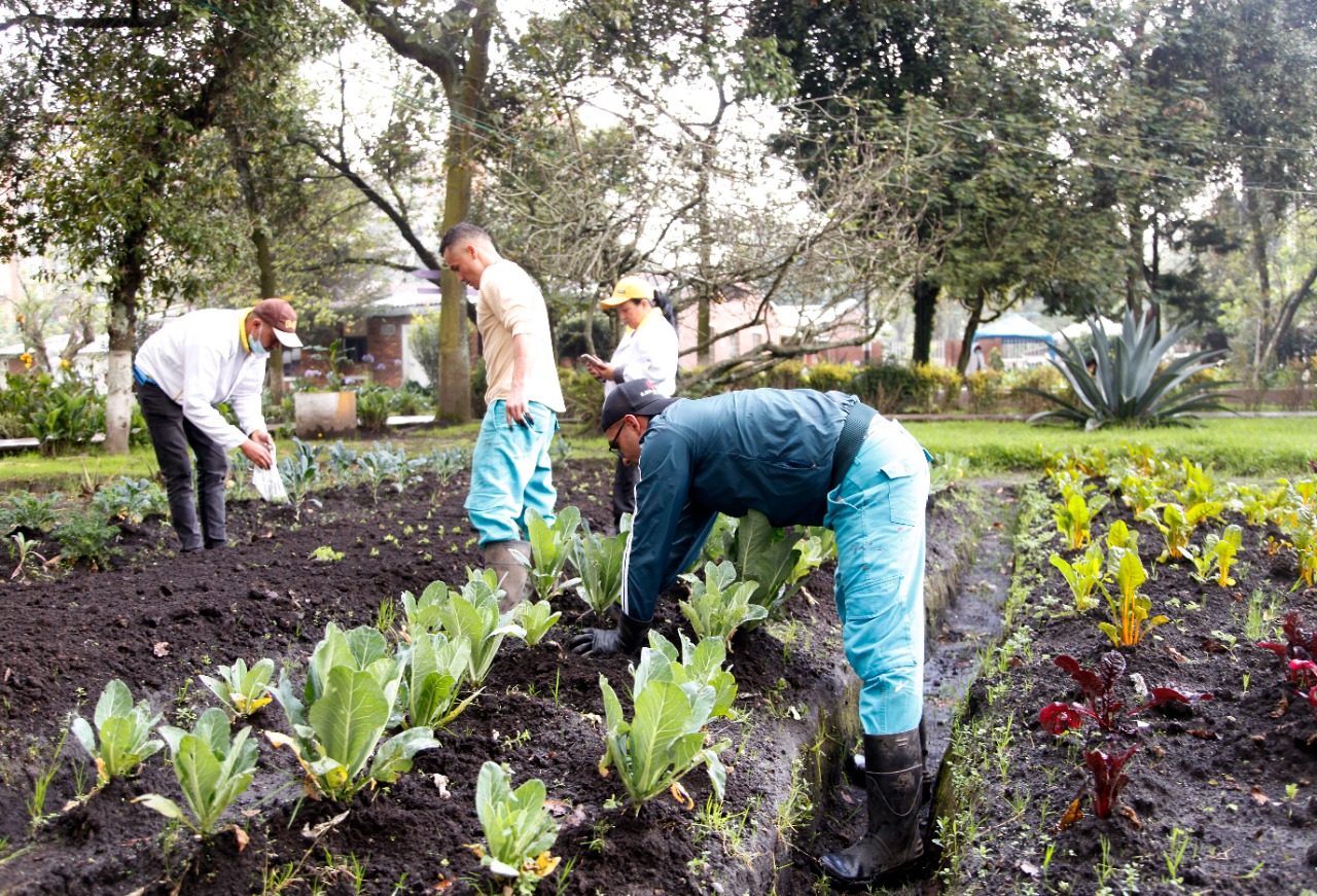 foto panoramica de huerta