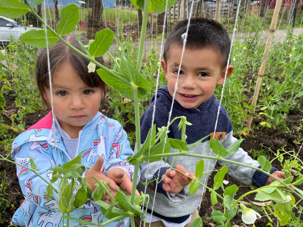 foto de niña y niño en el campo