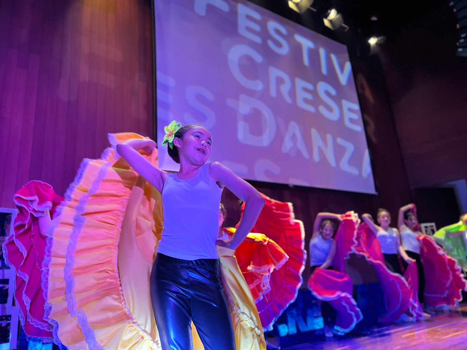 muestra artística del Festival CreSer