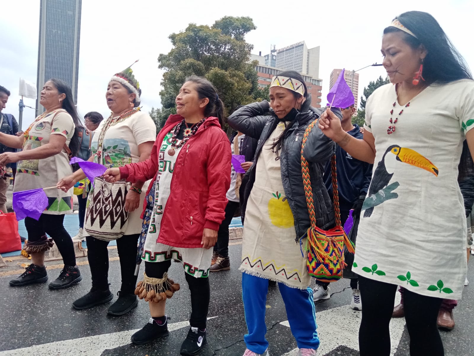 mujeres con pertinencia étnica 1