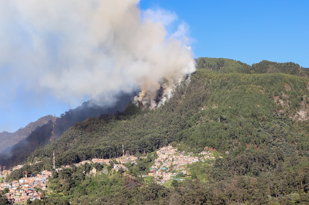 Gestores de riesgo sdis 3