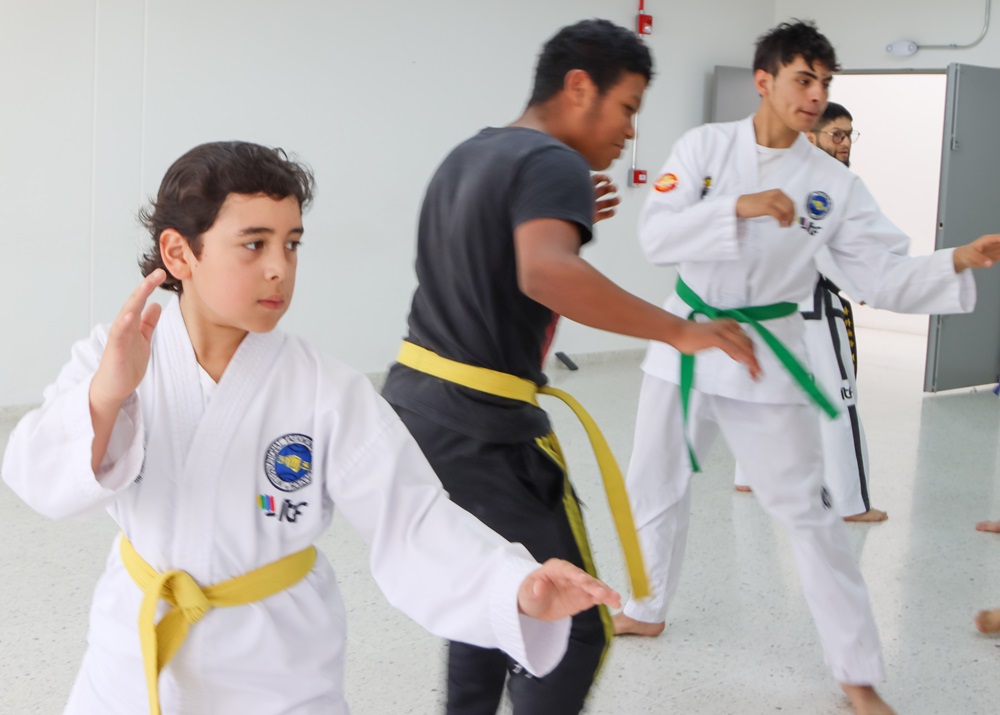 Niño taekwondo