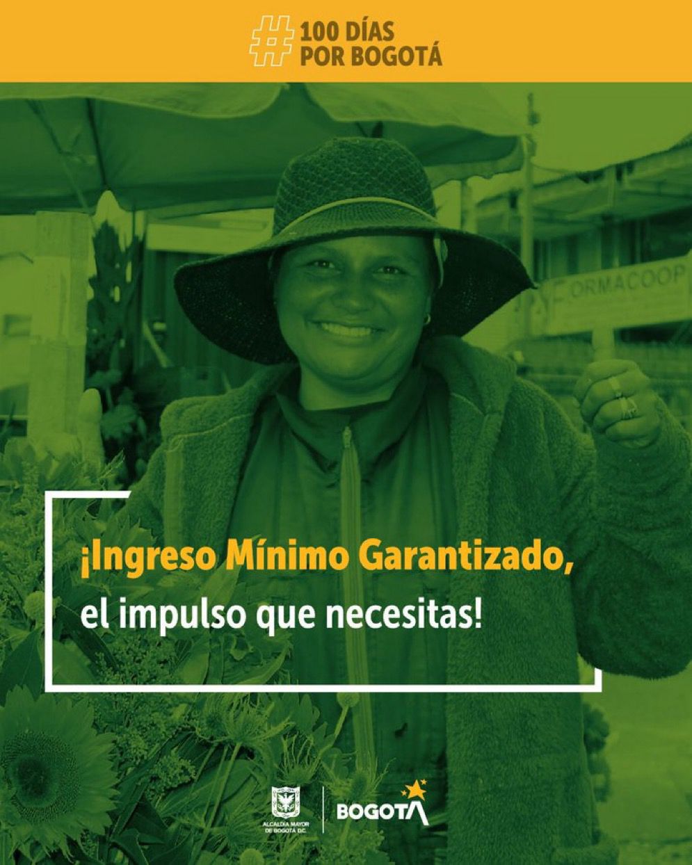 Lo que necesitas saber de IMG 2