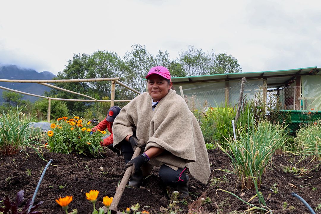 Foto de persona trabajando la tierra