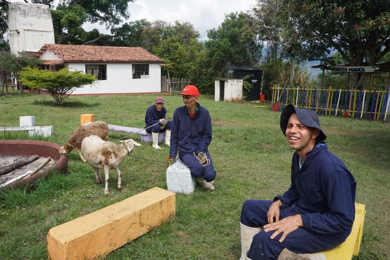 operadores_del_servicio