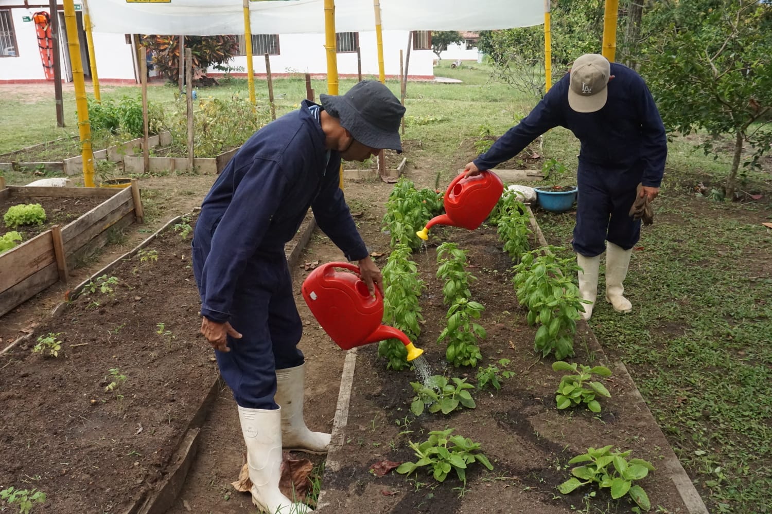 Foto operadores_del_servicio