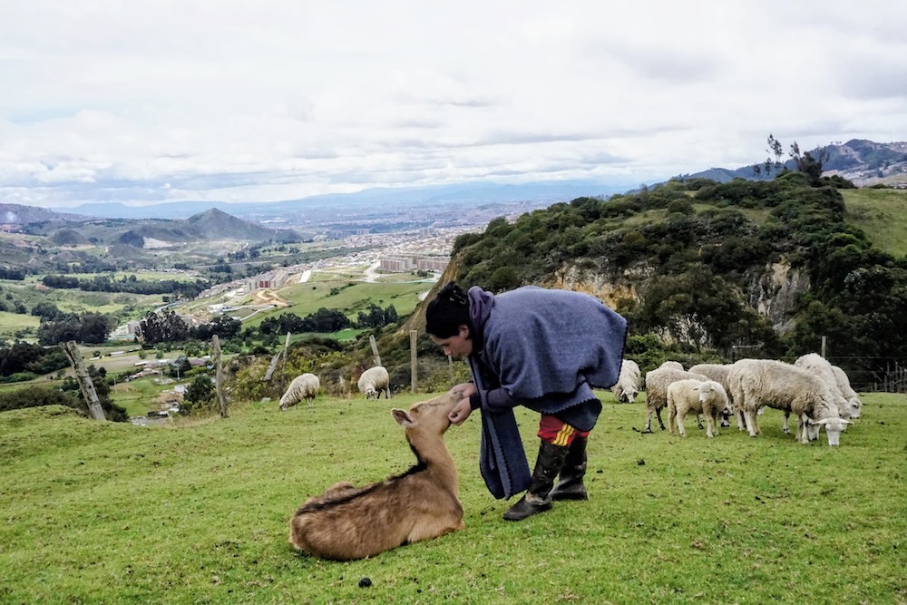 Foto mujer en dia de campo con animalitos