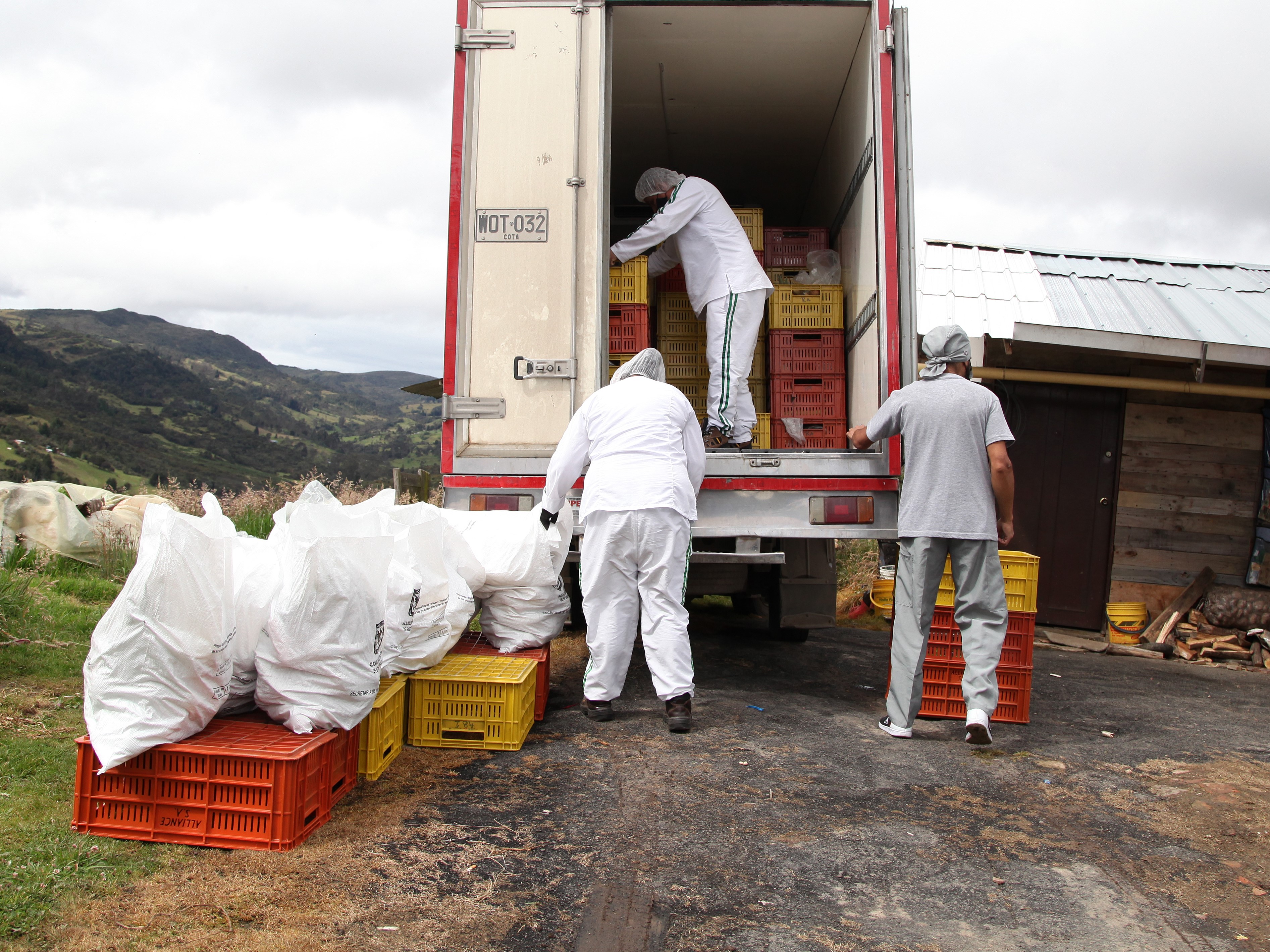 foto de mercados en el campo