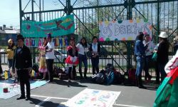 Foto de niños y niñas 3