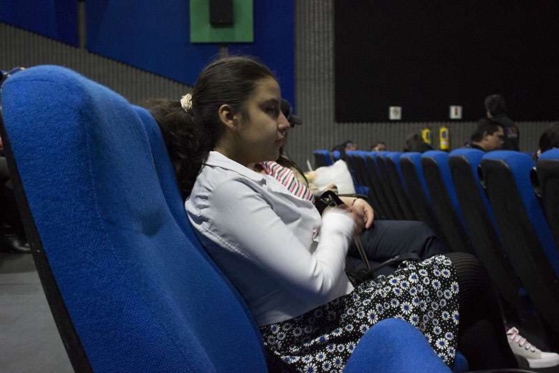 Cine incluyente 13