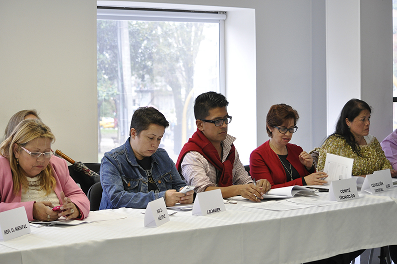Consejo Distrital de Discapacidad 2