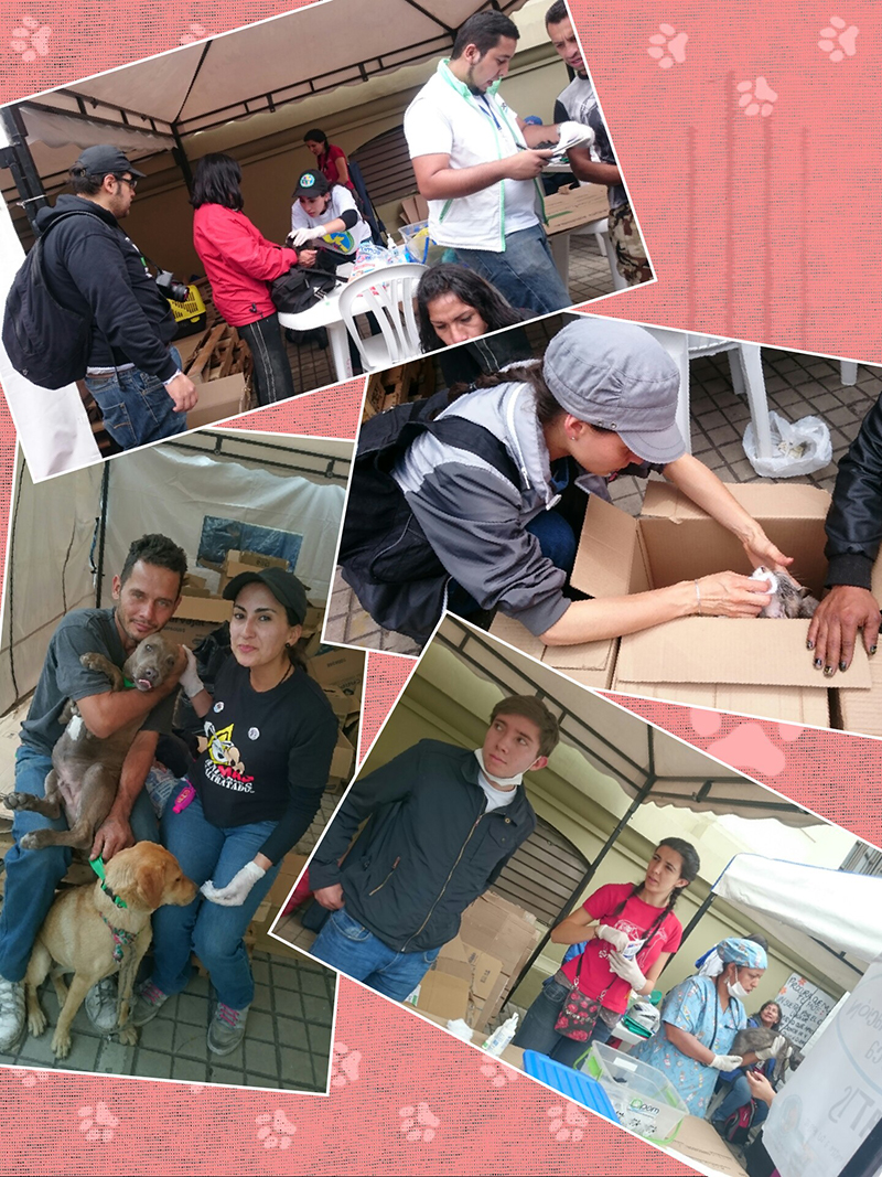 Foto de jornada calidoso 4