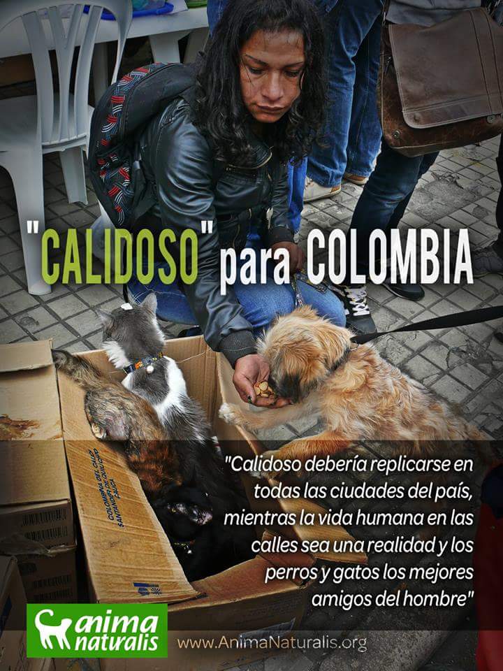 Foto de jornada calidoso 6