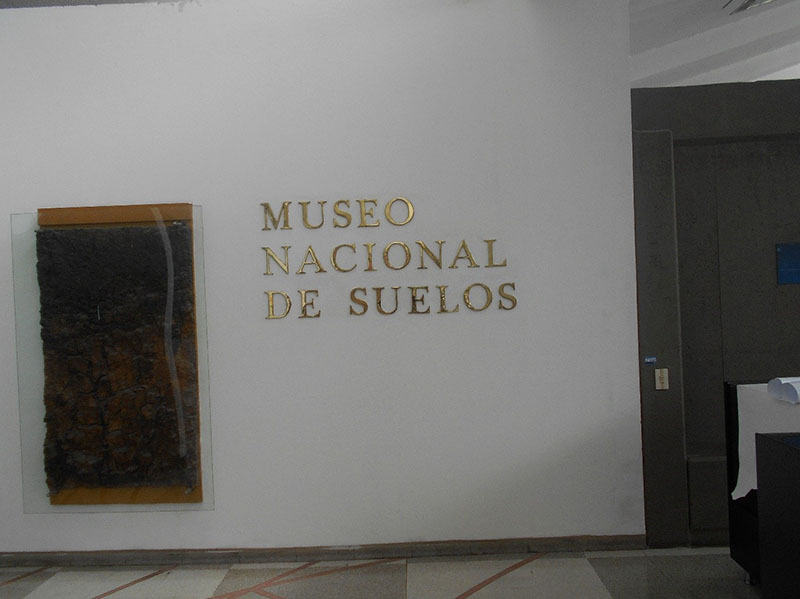 Personas mayores en jardin botanico 3