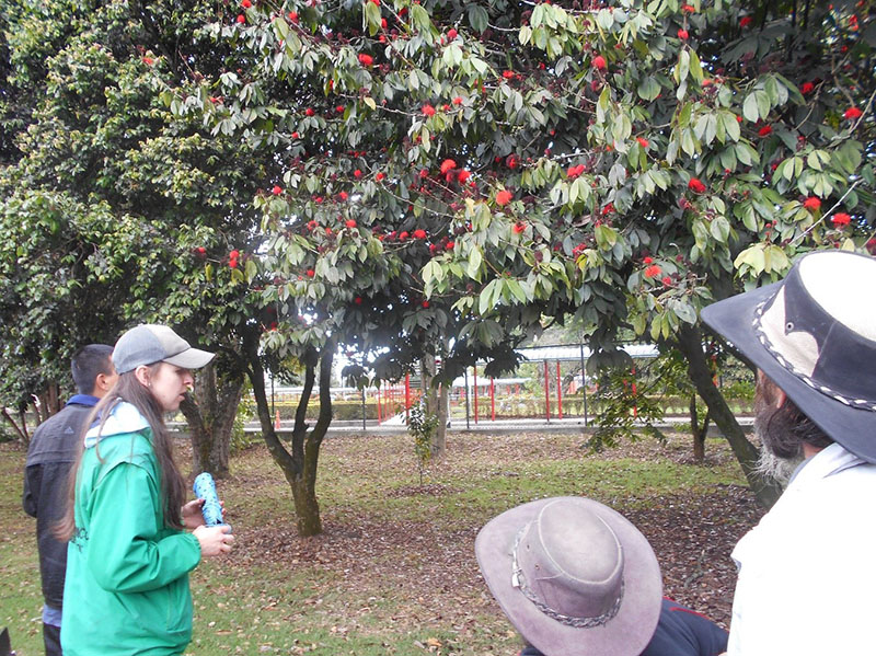Personas mayores en jardin botanico 7