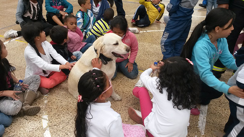 familias participan en Gestión del Riesgo 2
