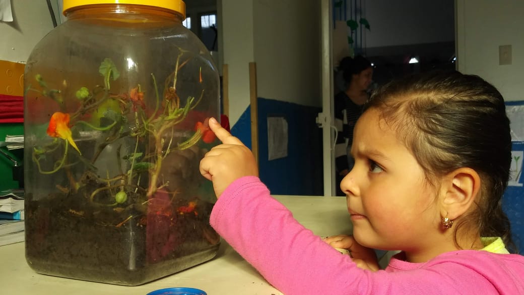 foto de niña