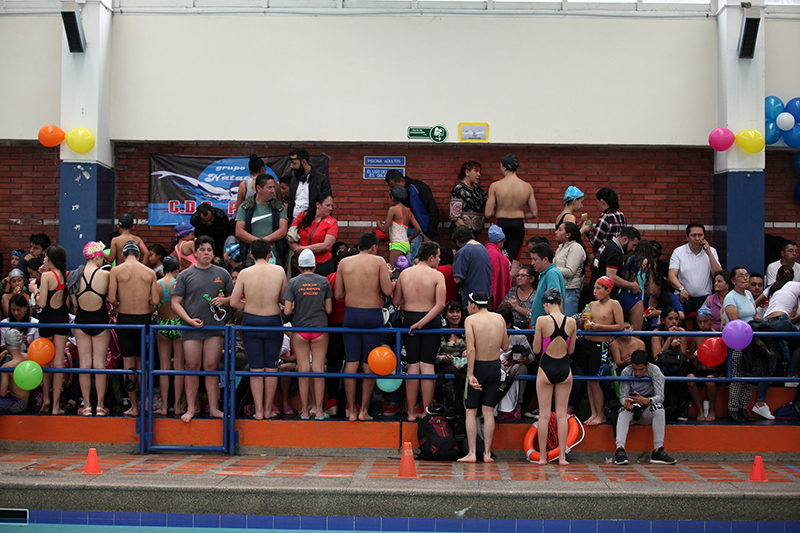 Primer Festival de Natación Infantil 2