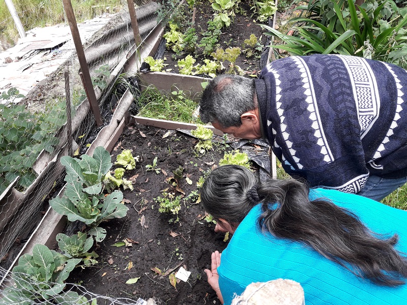 foto de personas mayores en siembra