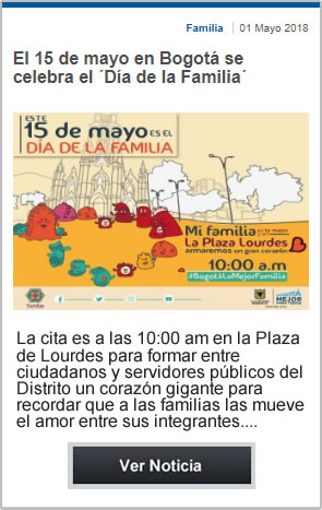 pieza grafica dia de la familia 10