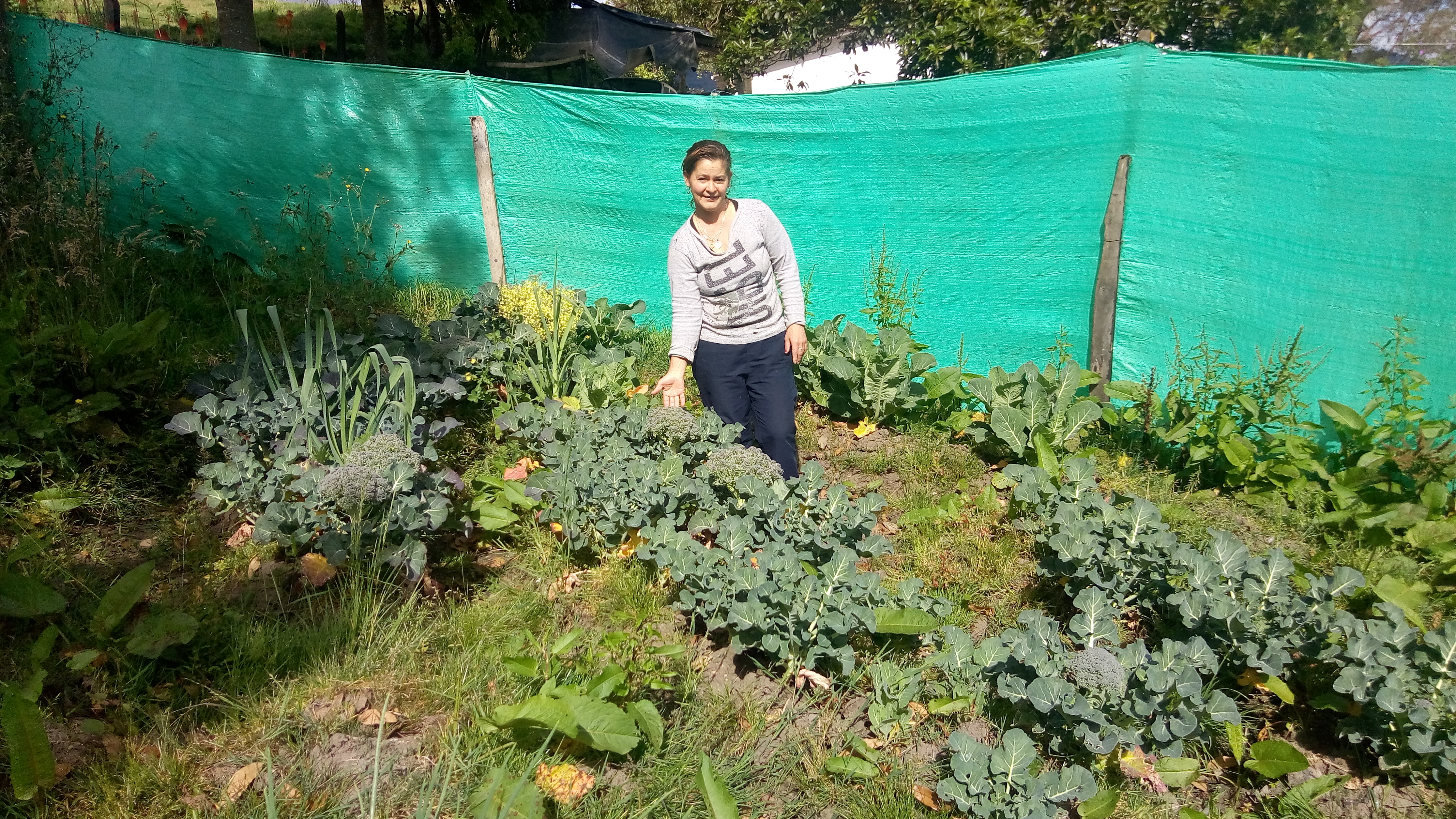 foto de huerta