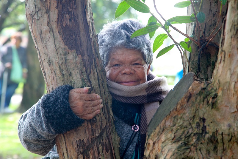 Persona de edad en un arbol