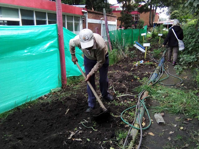 foto de persona mayor en huerta