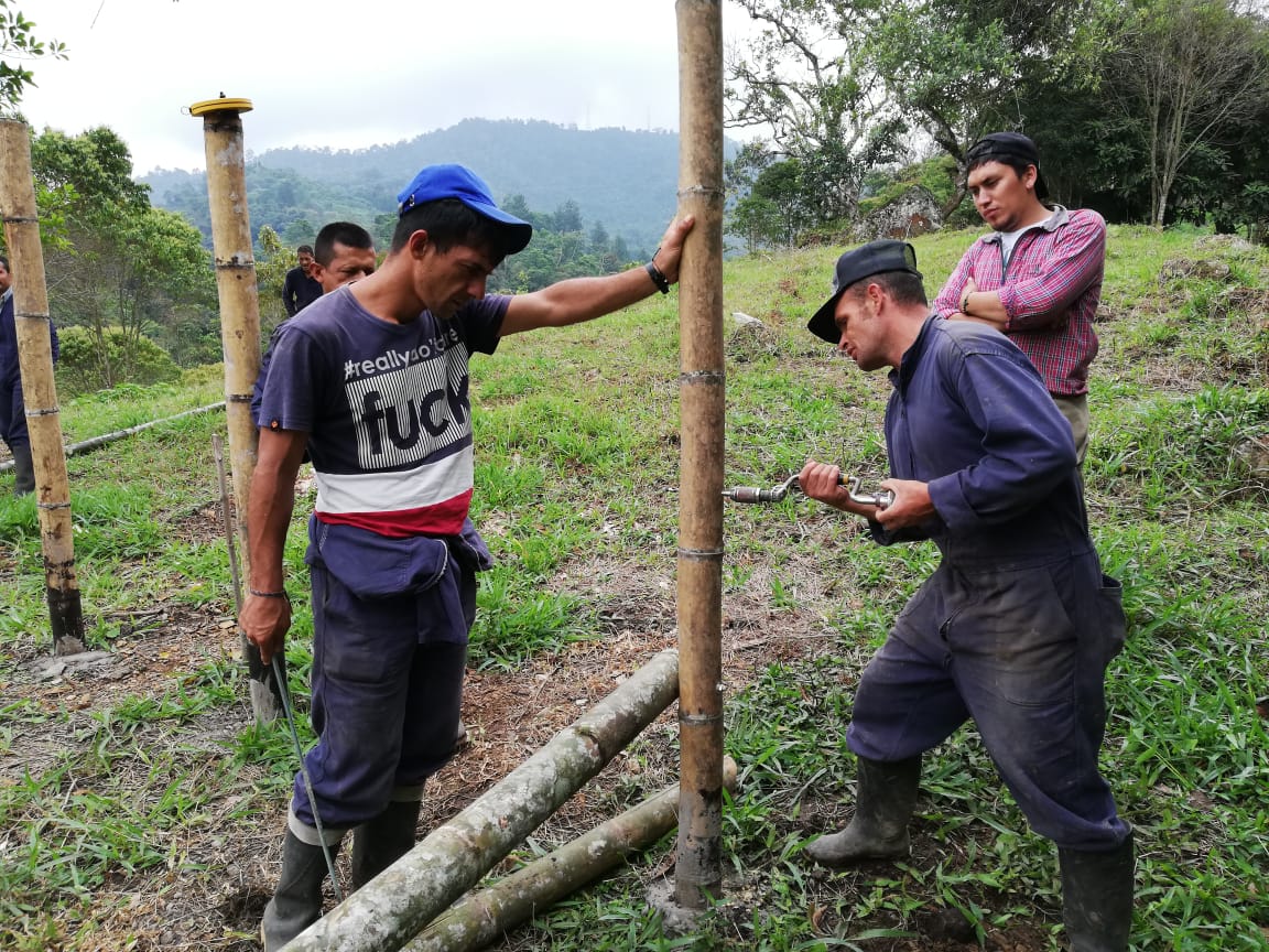 foto de luis trabajando