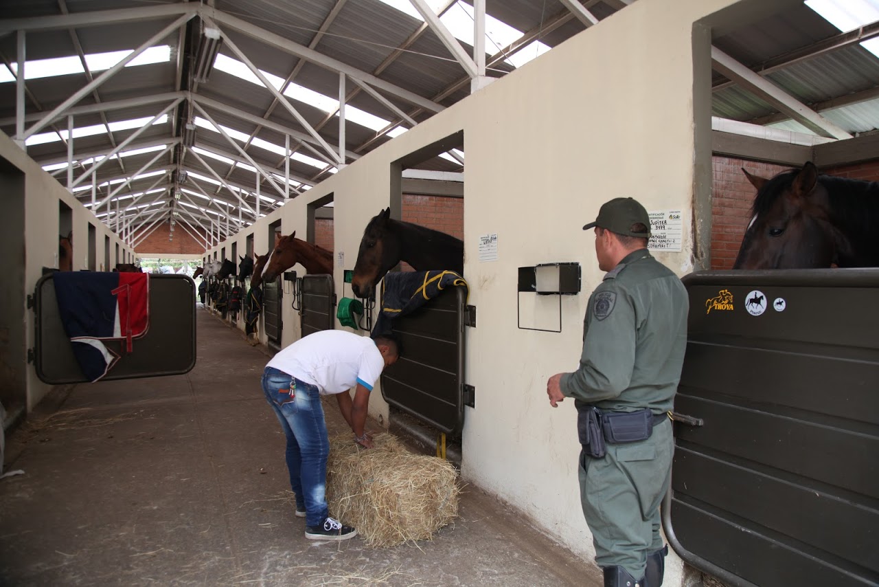 foto de escuela de equitacion policial 2