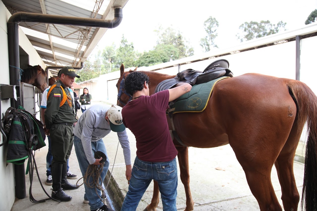 foto de escuela de equitacion policial 3
