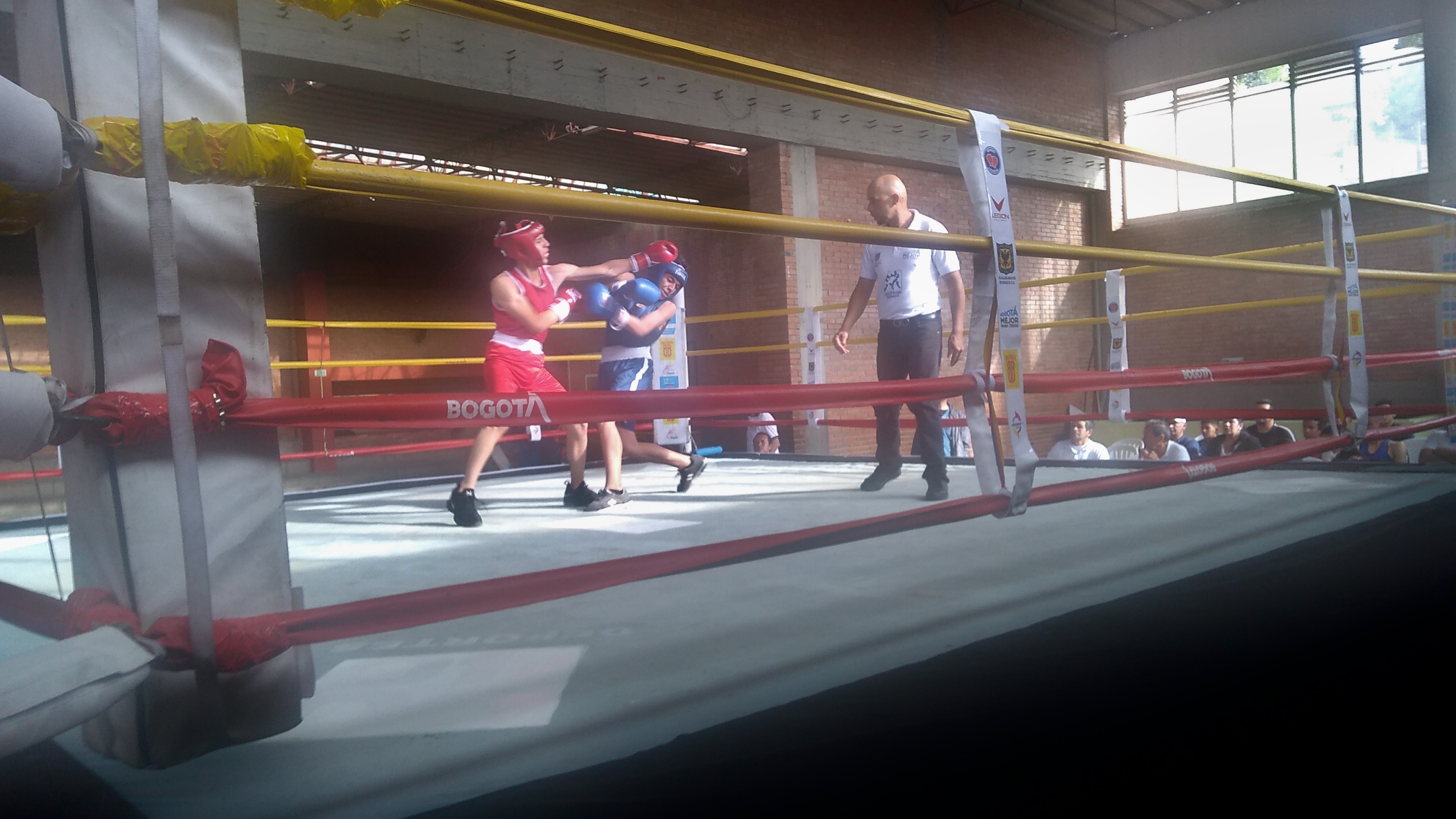 campeonato de boxeo 4