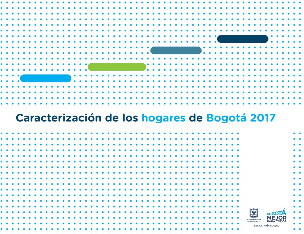 pieza grafica caracterizacion de hogares