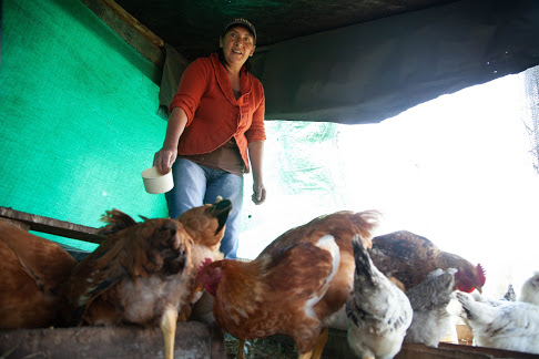 Mujeres campesinas 3