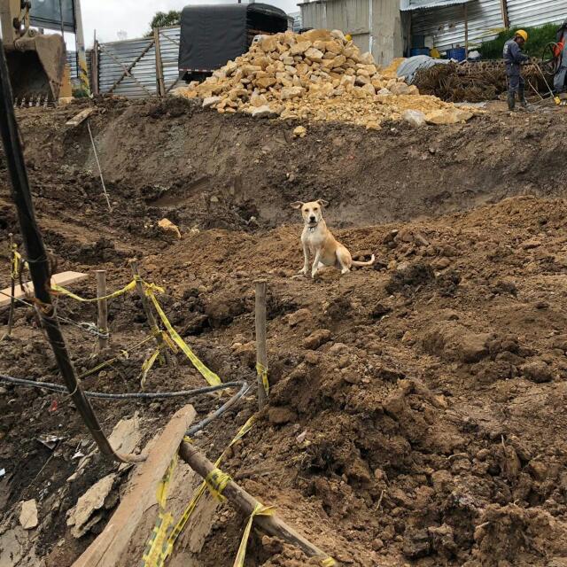 obras no solo se construyen sueños 3