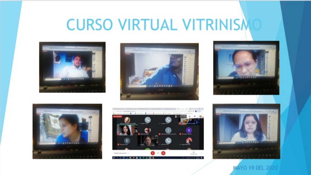 vitrina virtual