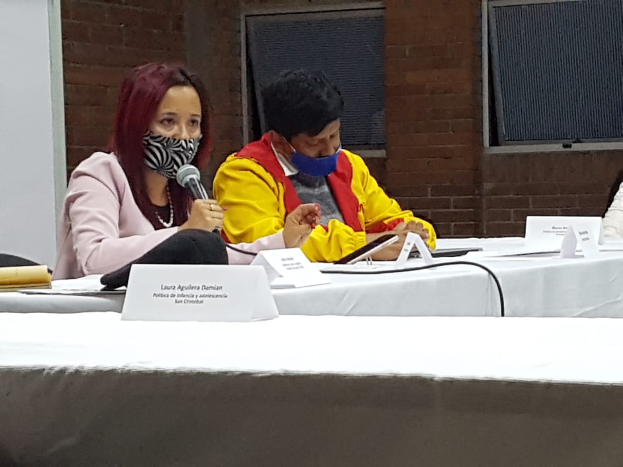 foto de secretaria hablando al publico en general